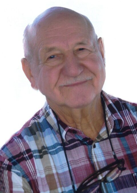Ing. Franz Sandriesser